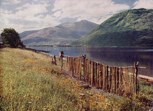 Nets drying at Onich, Loch Leven
